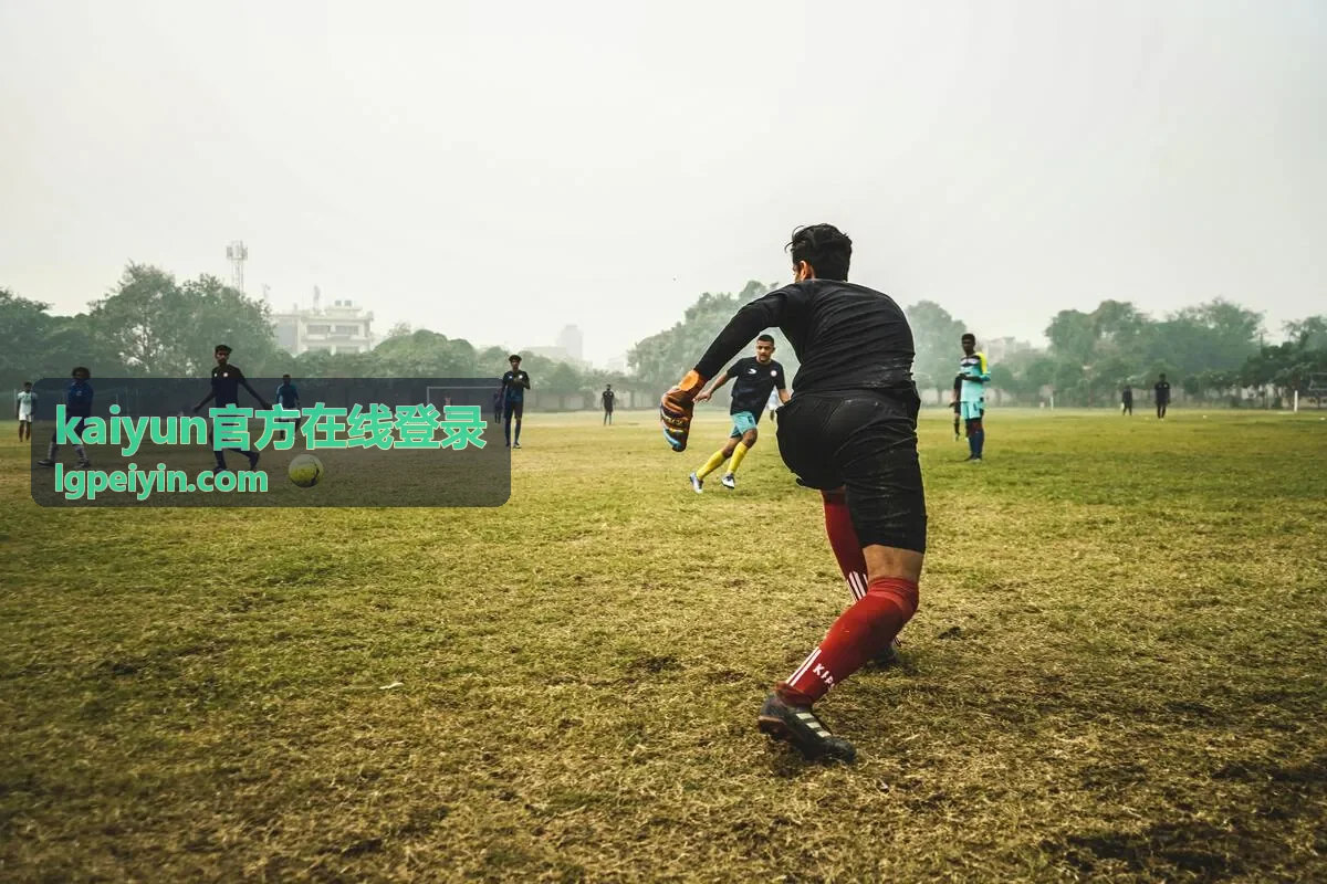 kaiyun官方在线登录 多因子安全验证服务
